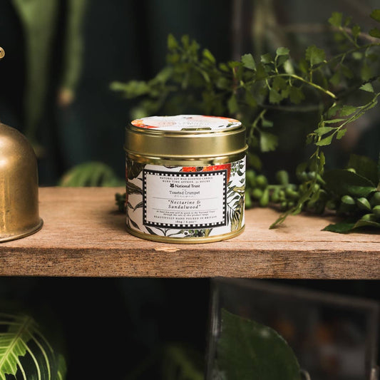 Nectarine & Sandalwood Candle in a Matt Gold Tin