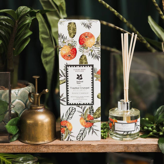 Nectarine & Sandalwood Diffuser