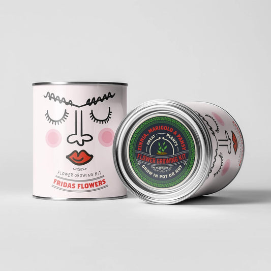Grow Your Own Plant Gift Kit - Frida's Flowers by The Plant Gift Co