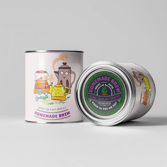 Grow Your Own Plant Gift Kit - Homemade Brew by The Plant Gift Co