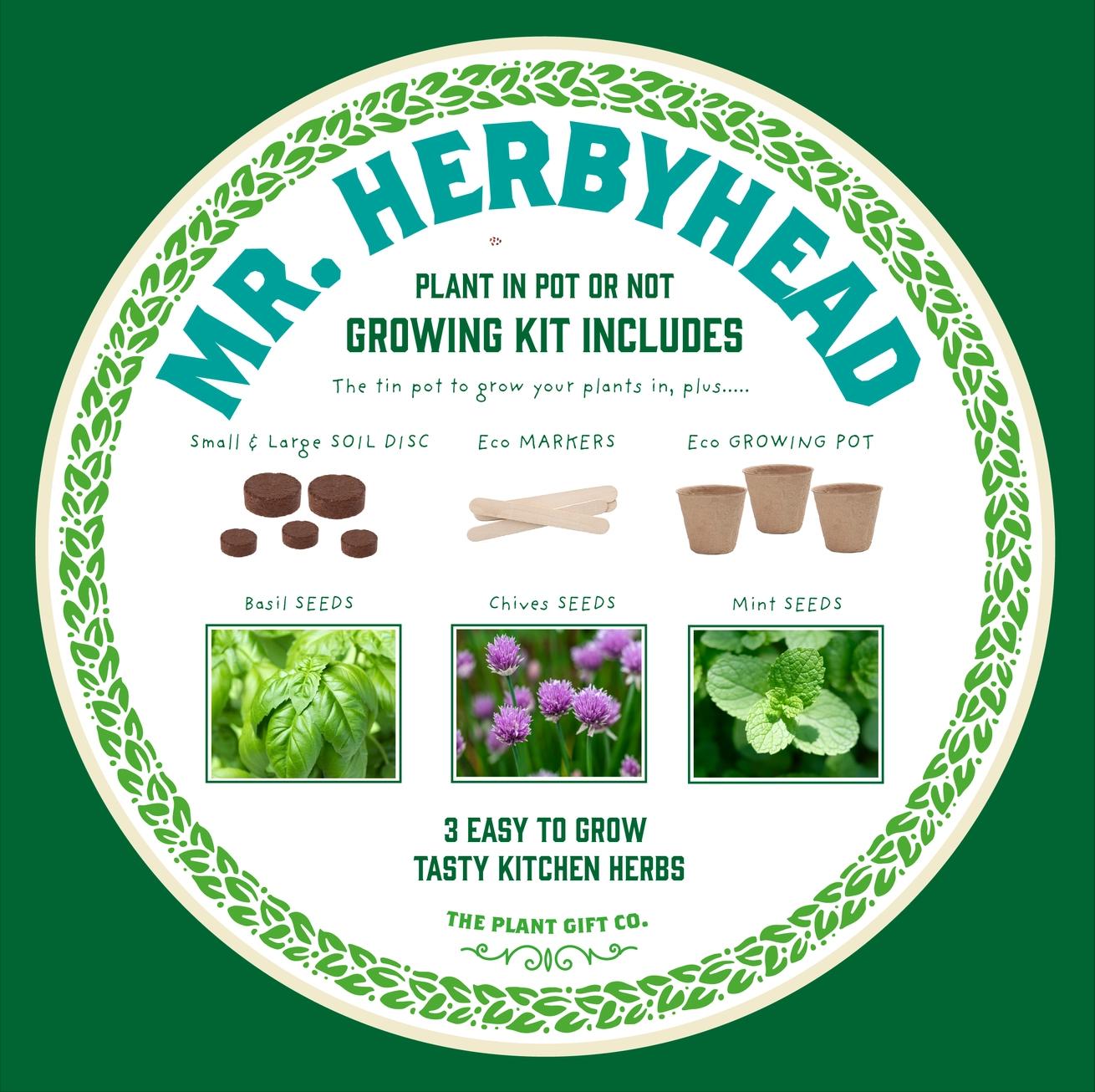 Grow Your Own Plant Gift Kit - Mr Herbyhead by The Plant Gift Co