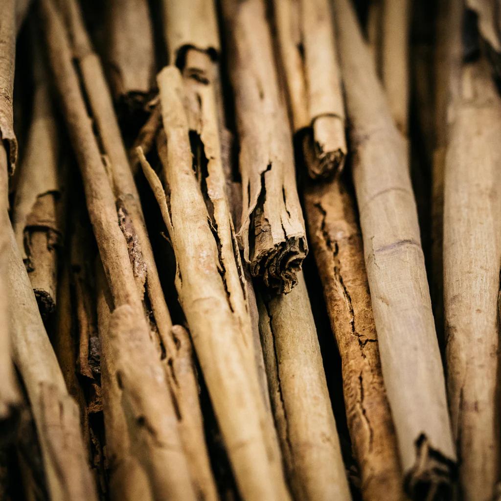Close-up of dried cinnamon sticks with a warm brown color.