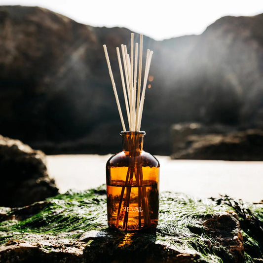 Sea Moss & Driftwood Reed Diffuser