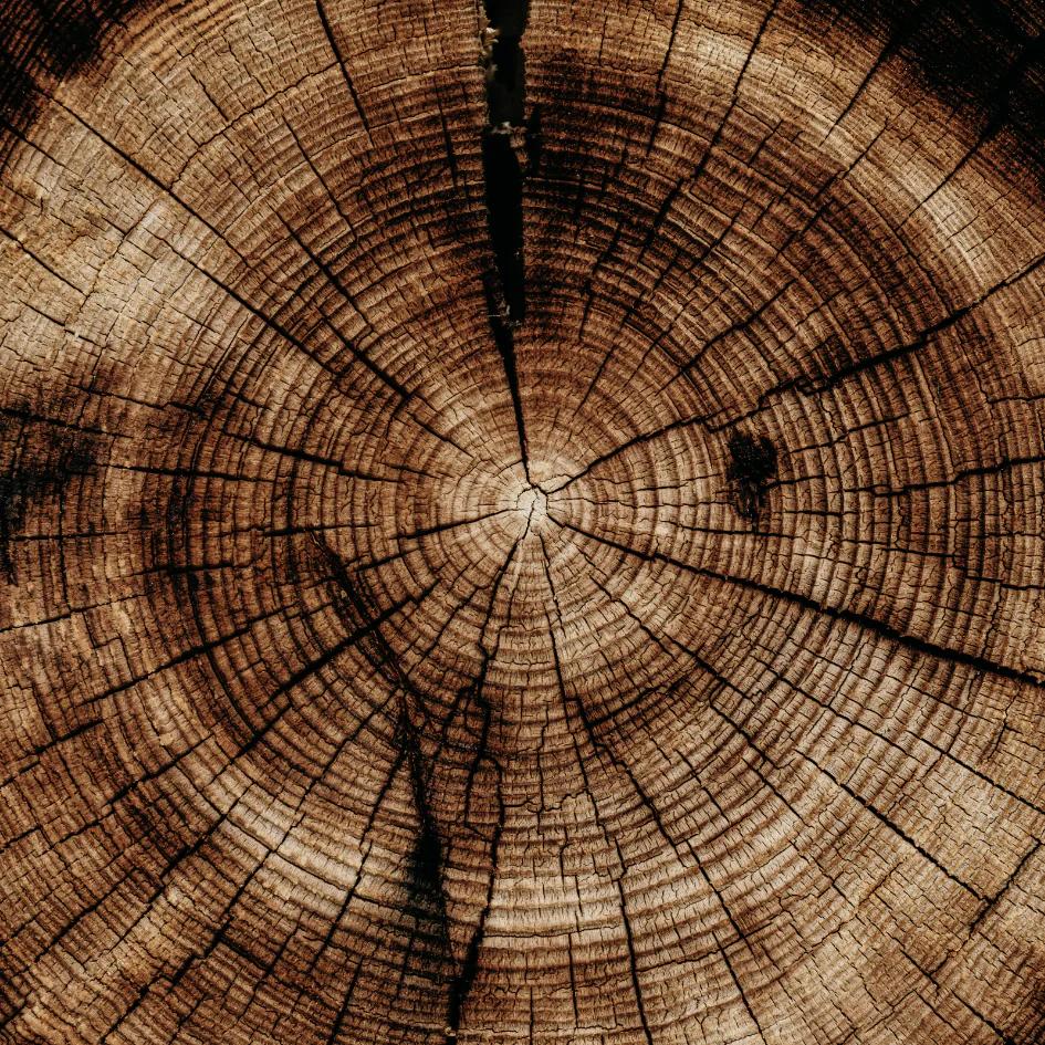 St Eval Sandalwood Enchantment Pot