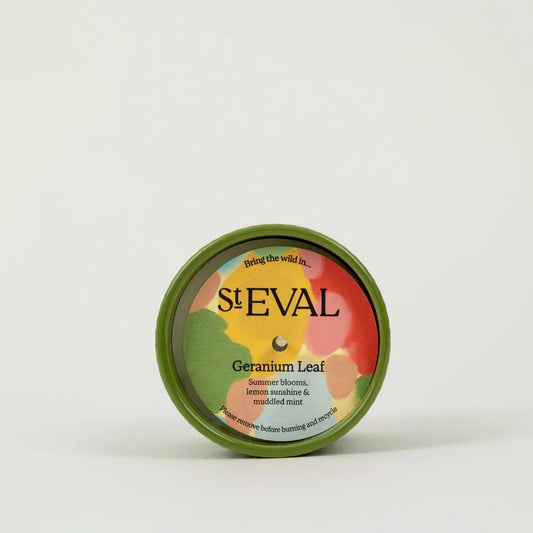 St Eval Geranium Leaf, Artist Pot