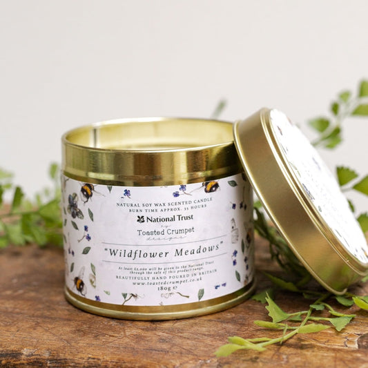 National Trust Wildflower Meadows Tin Candle in Matt Gold