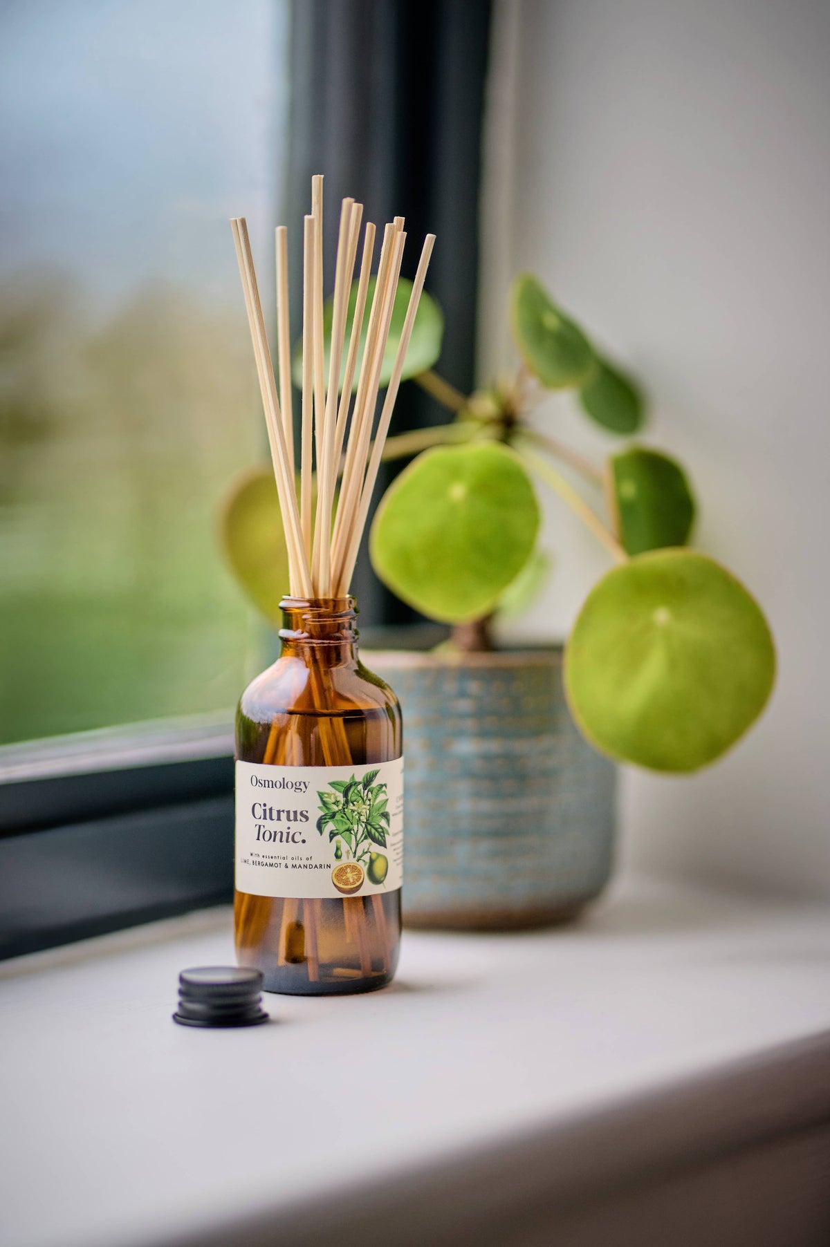 Citrus Tonic Reed Diffuser Refill + Free Reeds
