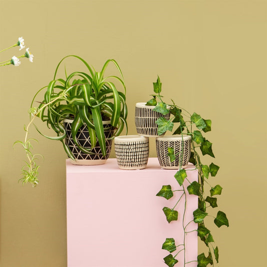 Sass & Belle Scandi Boho Cement Planter