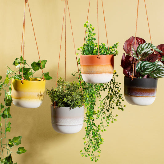 The Best Indoor Planters from Home and Bay