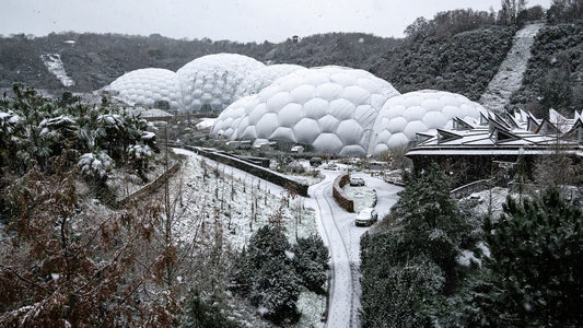 What's on (or wasson!) in Cornwall in January?