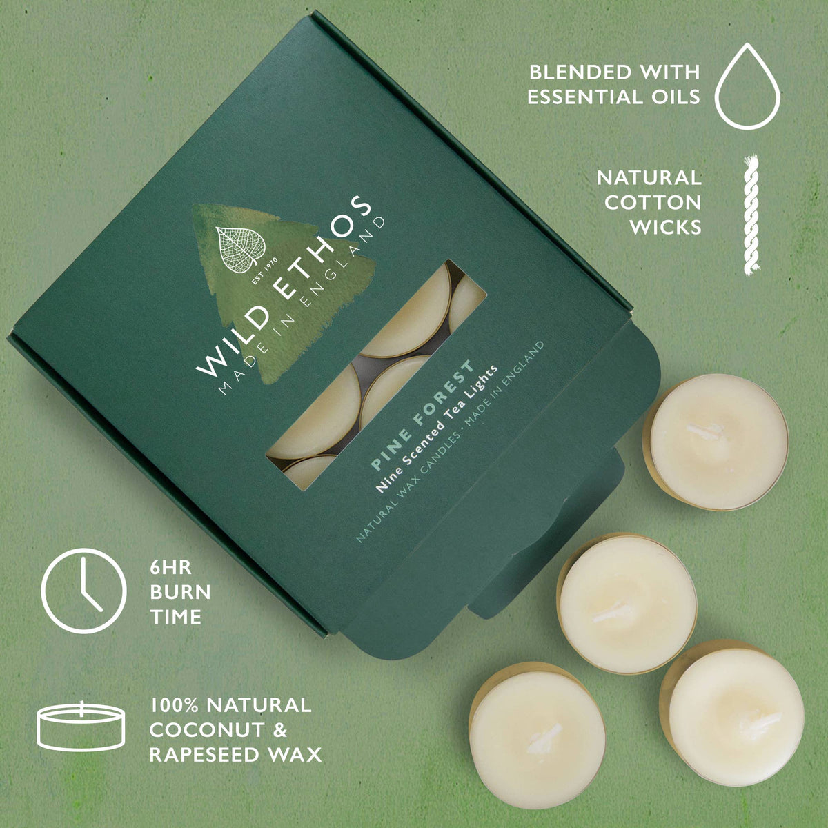 Pine Forest Scented Tealights