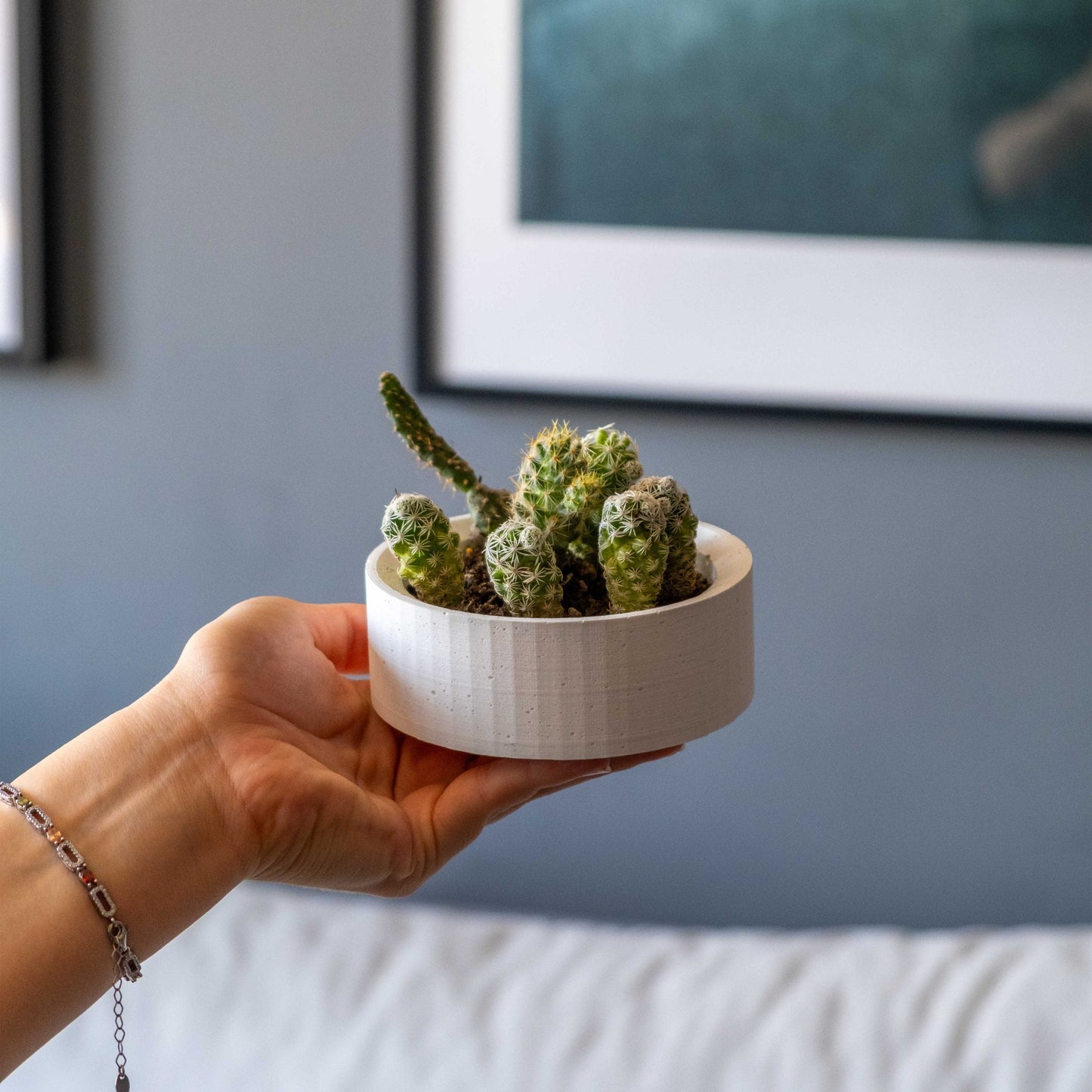 White Concrete Handle Pot