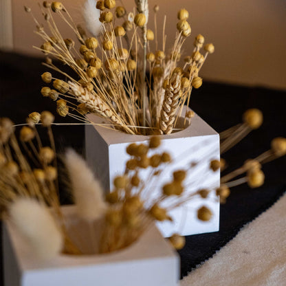 White Concrete Square Pot