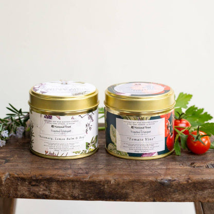 Tomato Vine Candle in a Matt Gold Tin