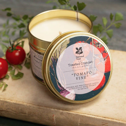 Tomato Vine Candle in a Matt Gold Tin