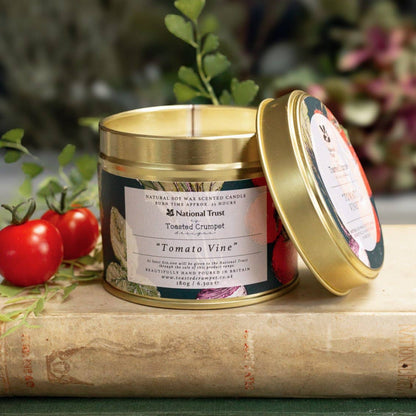 Tomato Vine Candle in a Matt Gold Tin