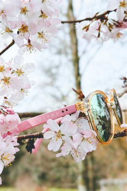 Luma Sunglasses - Fowey - Pink