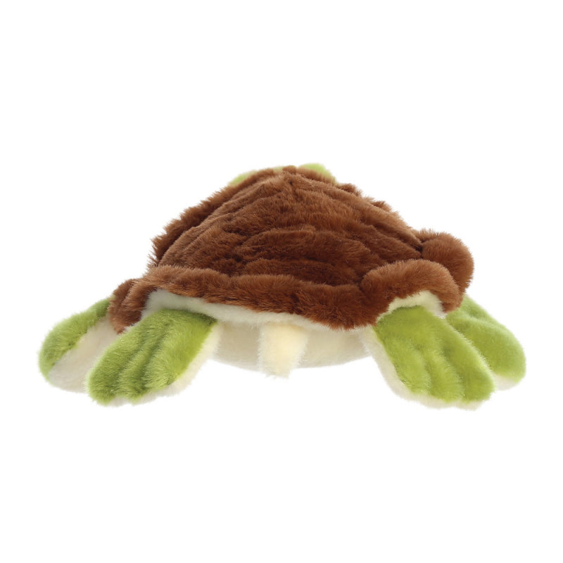 Green and Brown Sea Turtle