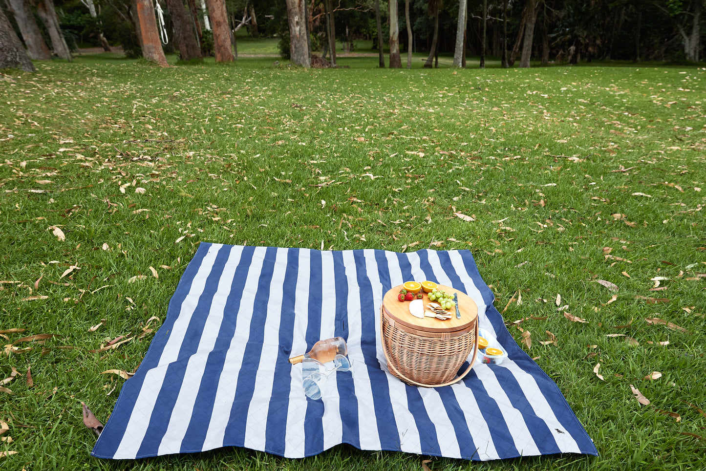 Dock and Bay Whitsunday Blue Picnic Blanket