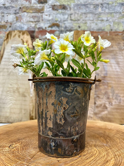 Vintage Small Mini Metal Bucket Plant Pot