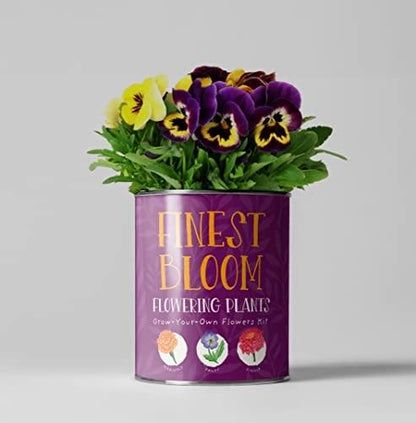 Grow Your Own Plant Gift Kit - Finest Blooms by The Plant Gift Co