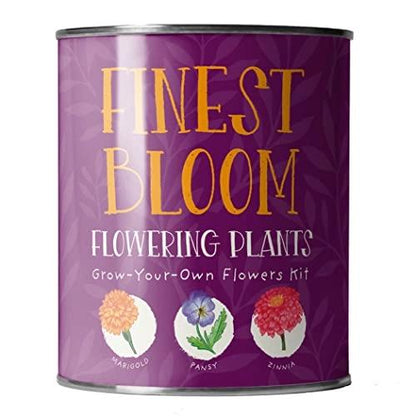 Grow Your Own Plant Gift Kit - Finest Blooms by The Plant Gift Co