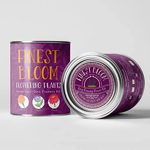 Grow Your Own Plant Gift Kit - Finest Blooms by The Plant Gift Co
