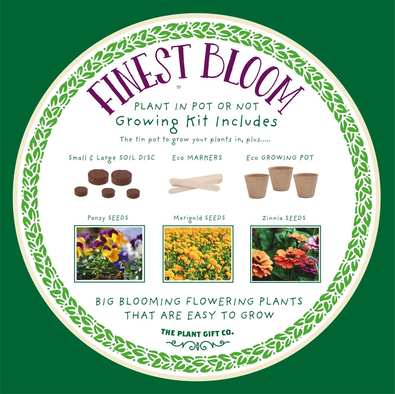 Grow Your Own Plant Gift Kit - Finest Blooms by The Plant Gift Co