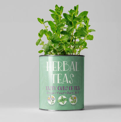 Grow Your Own Plant Gift Kit - Herbal Tea by The Plant Gift Co