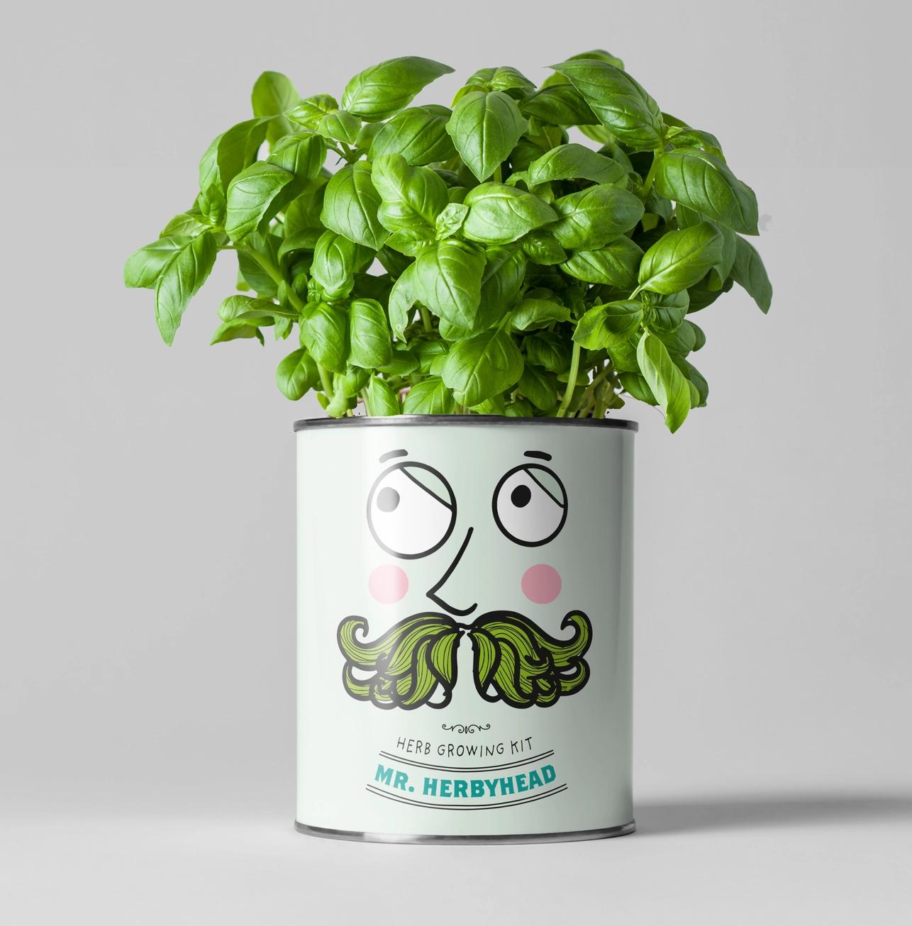 Grow Your Own Plant Gift Kit - Mr Herbyhead by The Plant Gift Co