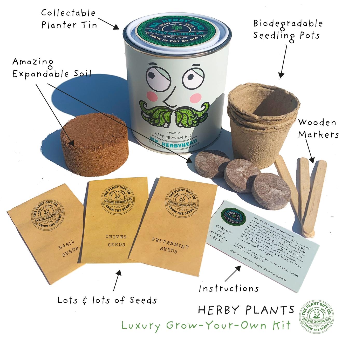 Grow Your Own Plant Gift Kit - Mr Herbyhead by The Plant Gift Co