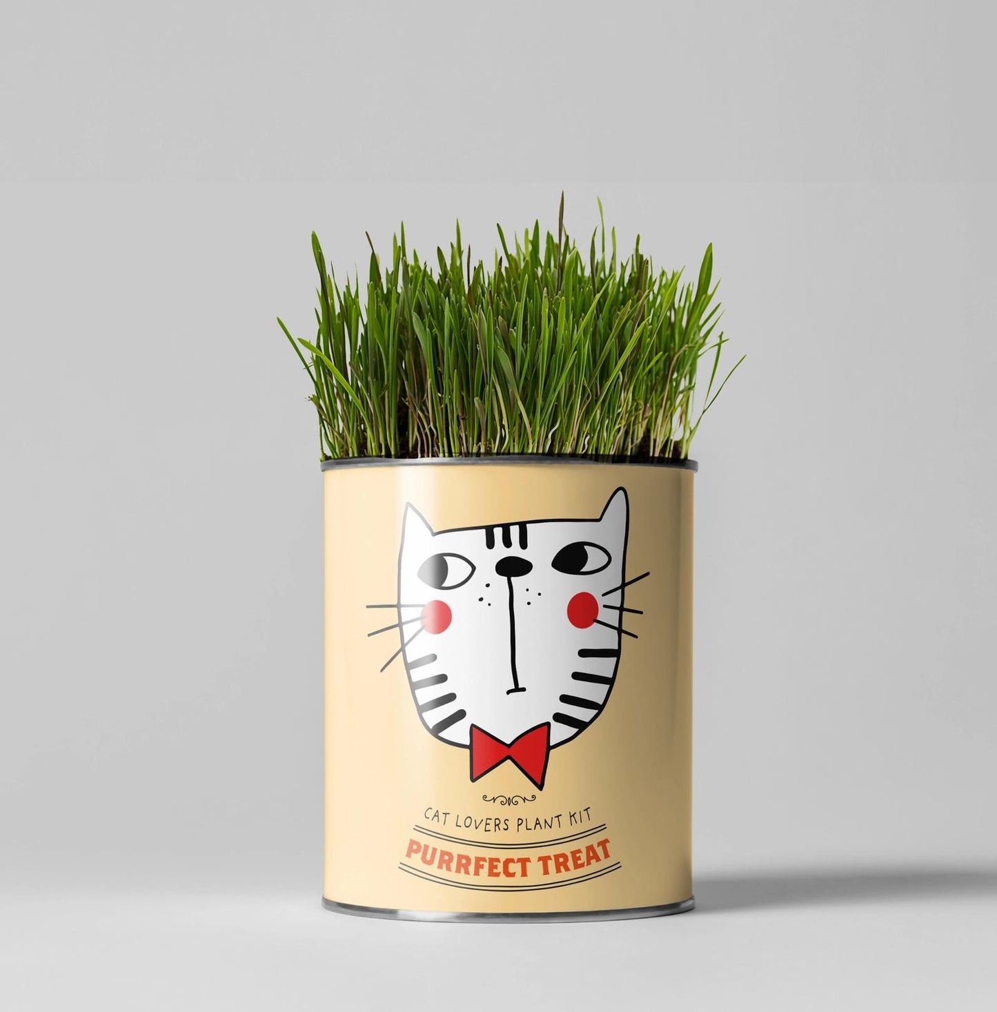 Grow Your Own Plant Gift Kit - Purrfect Treat by The Plant Gift Co