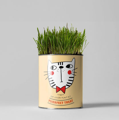 Grow Your Own Plant Gift Kit - Purrfect Treat by The Plant Gift Co