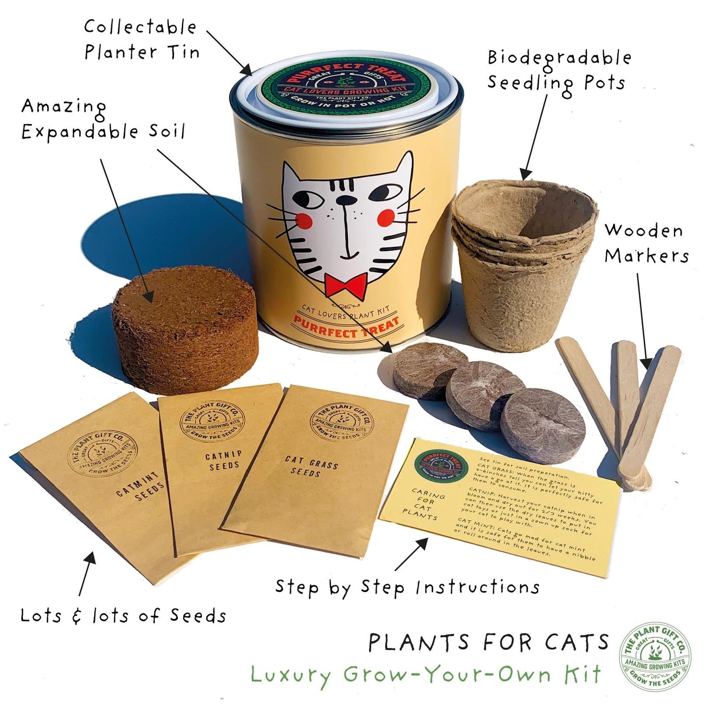 Grow Your Own Plant Gift Kit - Purrfect Treat by The Plant Gift Co