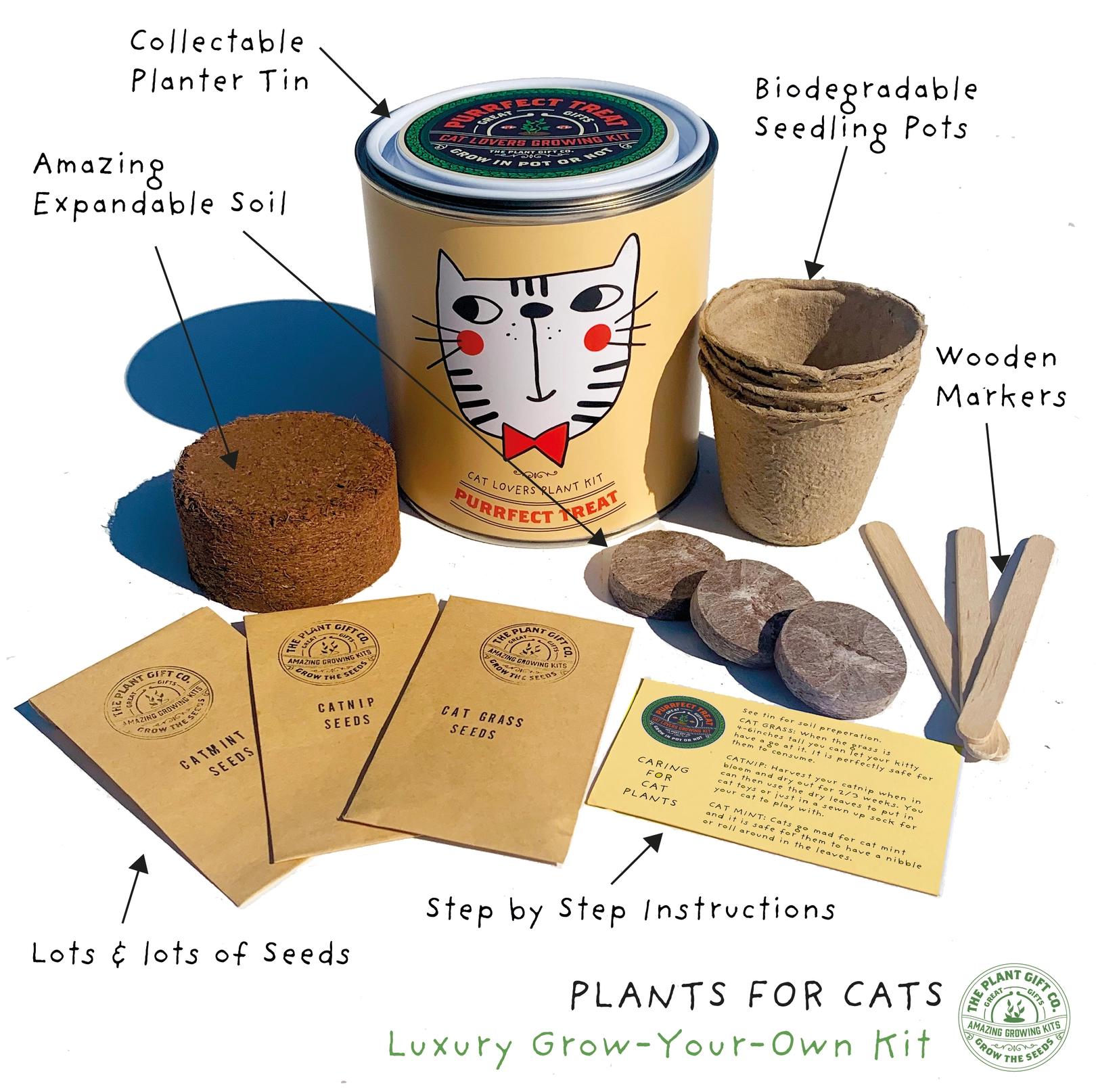 Grow Your Own Plant Gift Kit - Purrfect Treat by The Plant Gift Co