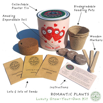 Grow Your Own Plant Gift Kit - Seeds of Love by The Plant Gift Co