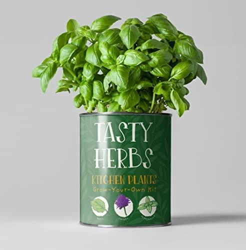 Grow Your Own Plant Gift Kit - Tasty Herbs by The Plant Gift Co