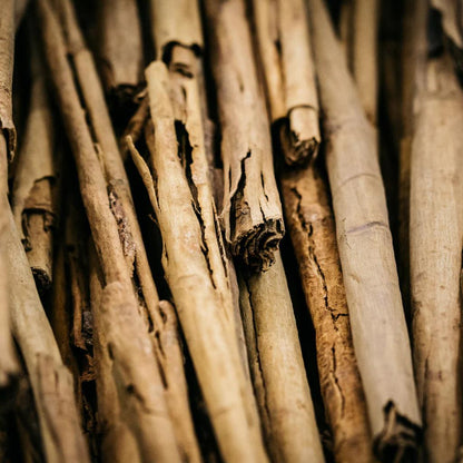 Close-up of dried cinnamon sticks with a warm brown color.