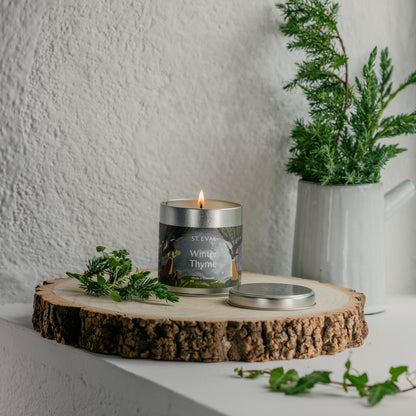 Winter Thyme Scented Tin Candle