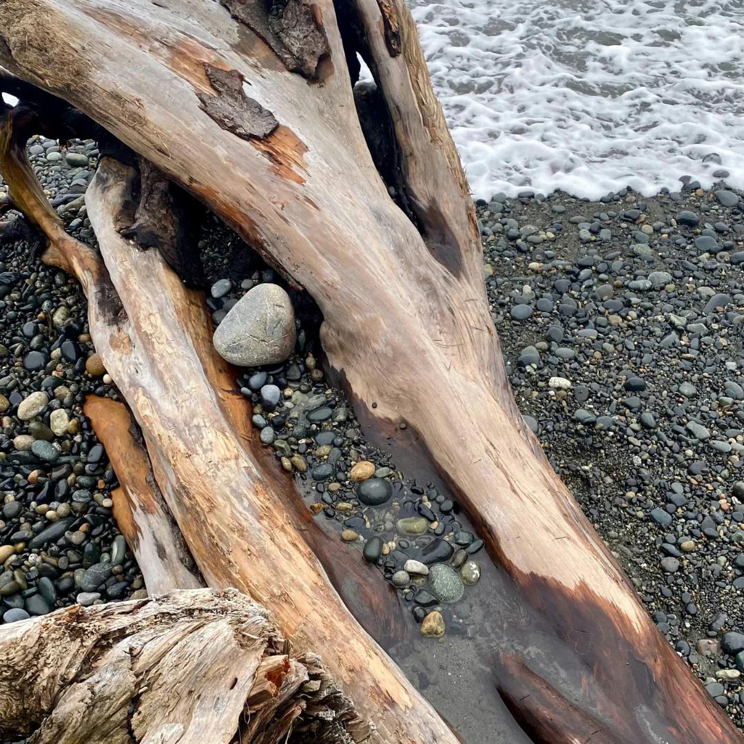 Sea Moss & Driftwood Diffuser Refill Bottle