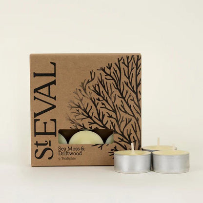 Sea Moss & Driftwood Tealight Candles by St Eval