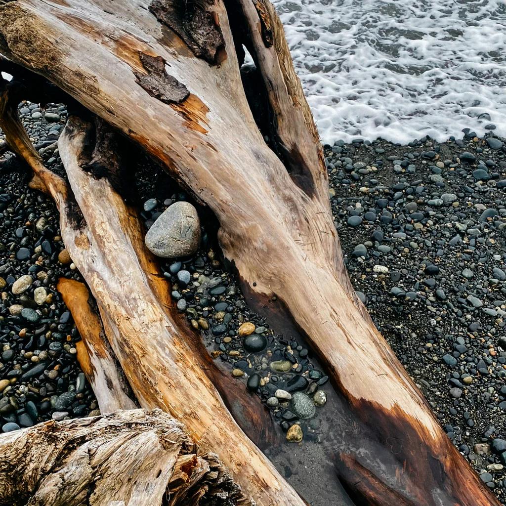 Sea Moss & Driftwood Tealight Candles