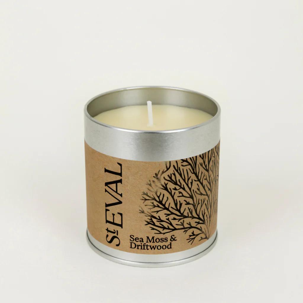 Sea Moss & Driftwood Scented Tin Candle by St Eval