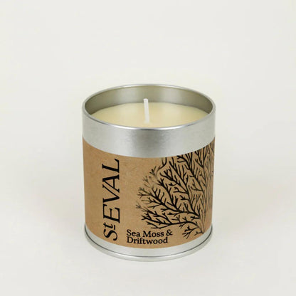 Sea Moss & Driftwood Scented Tin Candle by St Eval
