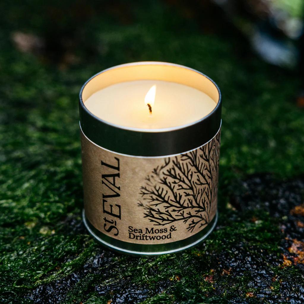 Sea Moss & Driftwood Scented Tin Candle by St Eval