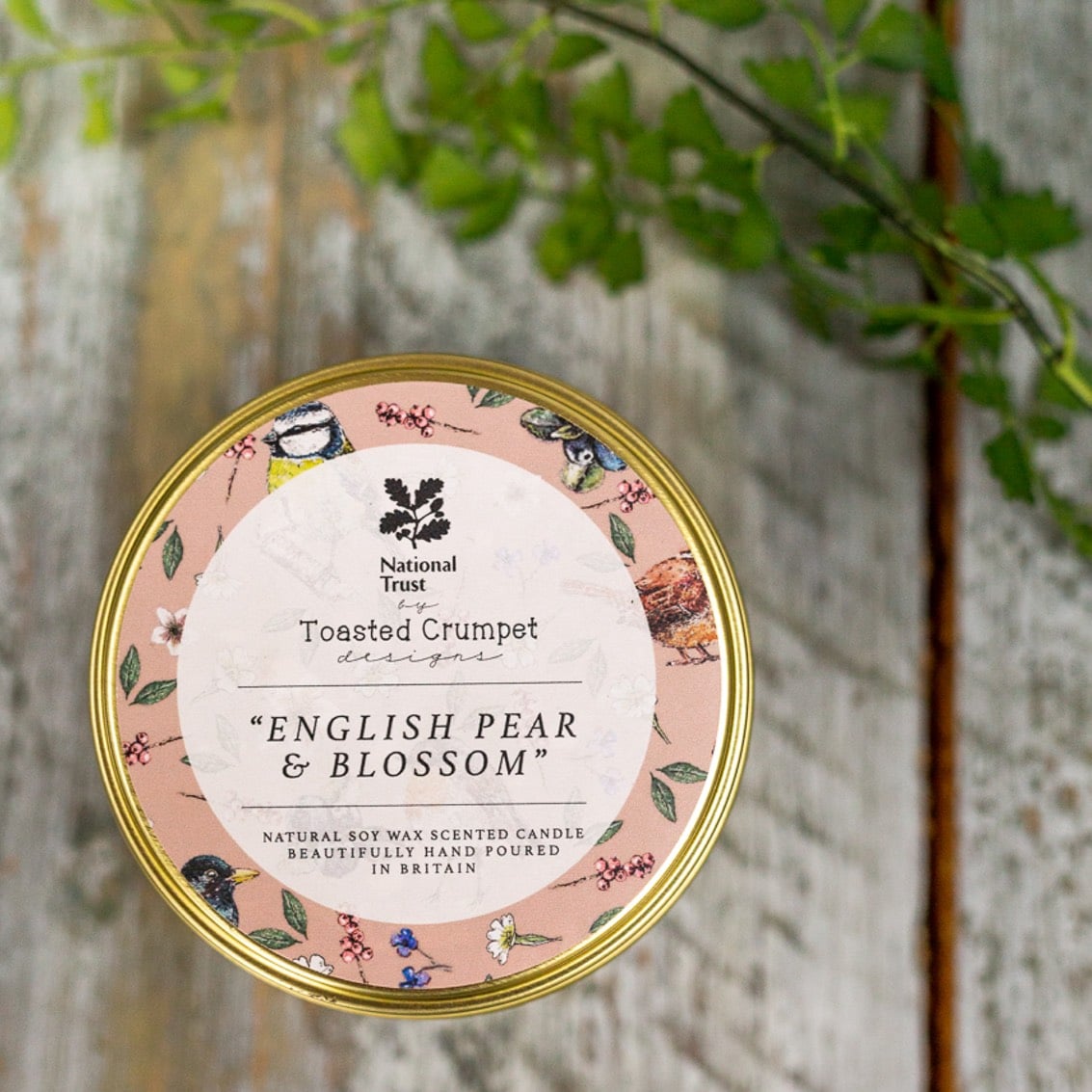National Trust English Pear & Blossom Tin Candle in Matt Gold