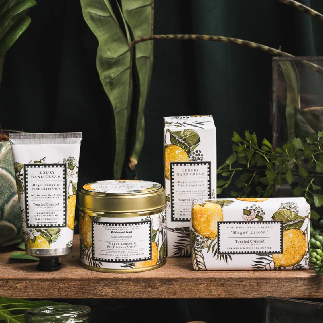 Meyer Lemon & Pink Grapefruit Candle in a Matt Gold Tin