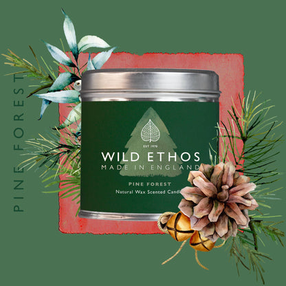 Pine Forest Candle