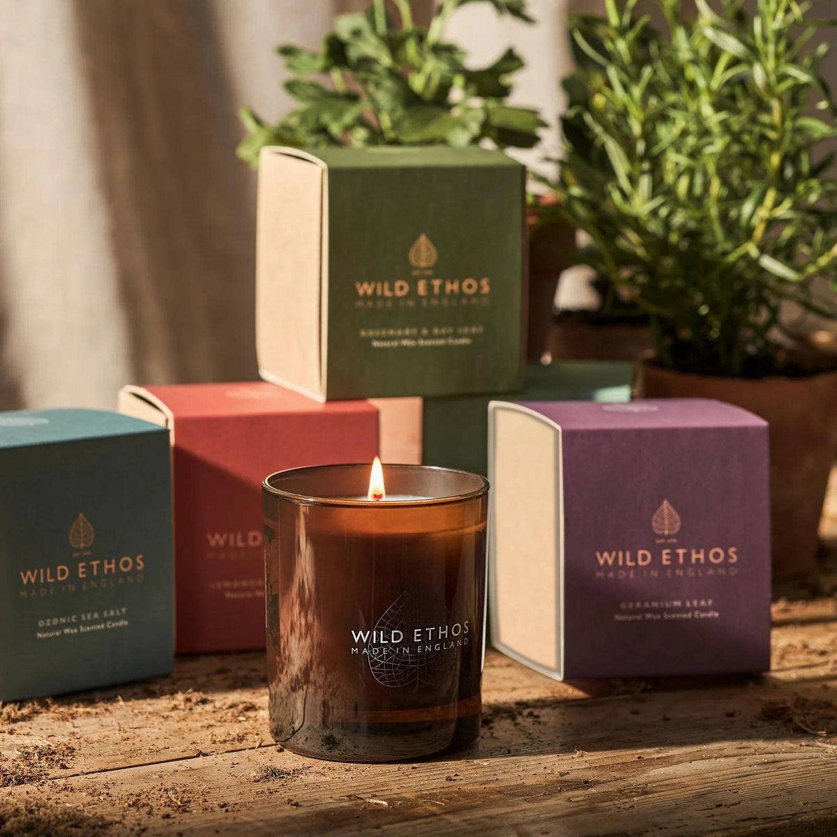 Rosemary & Bay Leaf Jar Candle