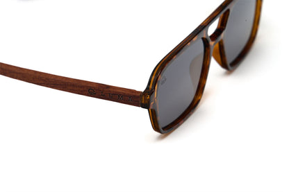 Luma Sunglasses - Bantham - Tortoise